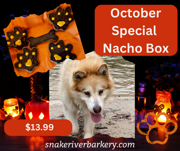 Howl-o-ween Nacho Box