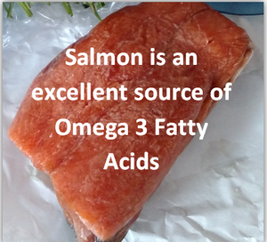 The Yummy Benefits of Salmon