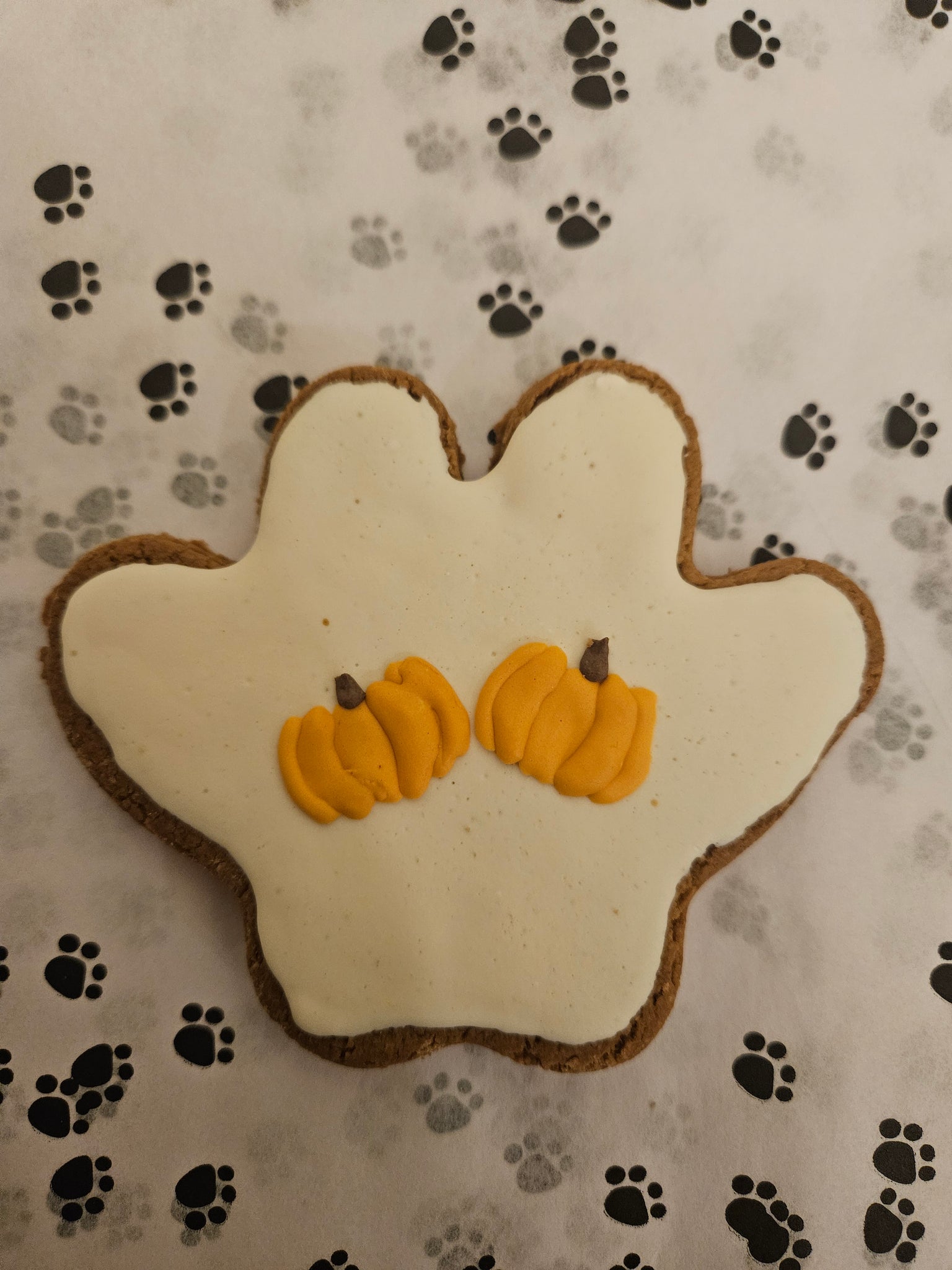 Pumpkin Paws!