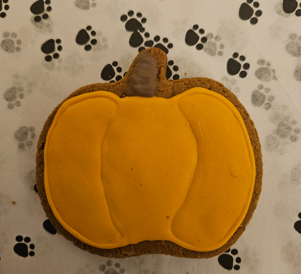 It's Pumpkin Patch!