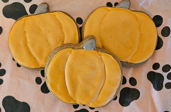 It's Pumpkin Patch!